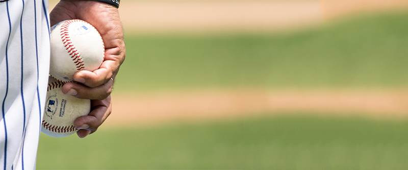 Ethical baseball feast